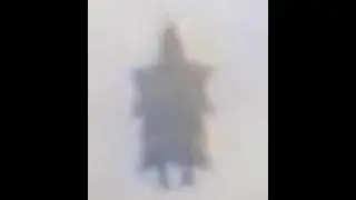 Unidentified Goofy Goober 