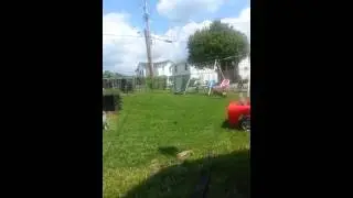My dog playing catch