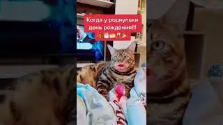 Кот говорящий рот. Когда у роднульки день рождения!!!