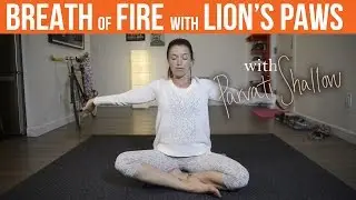 Kundalini Yoga: Breath of Fire with Lion's Paws
