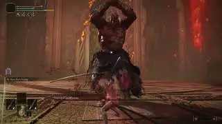 300 Hours in Elden Ring: Godfrey, First Elden Lord [Level 1, Solo]