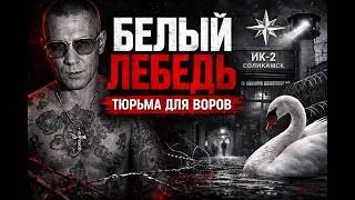 ТЮРЬМА, ГДЕ ЛОМАЮТ ВОРОВ В ЗАКОНЕ - ИК-2 «БЕЛЫЙ ЛЕБЕДЬ»