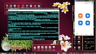 Zoom terminal launch