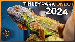 Here is the Tinley Park NARBC Reptile Show UNCUT (October 2024)