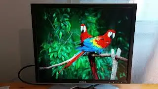 VGA with True color (24-bit)