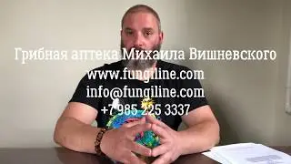Современная фунготерапия и грибная аптека Михаила Вишневского