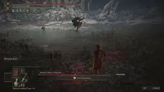 ELDEN RING ser lester helps with Melenia failed attempt