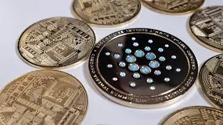 Welcome to native tokens on Cardano!