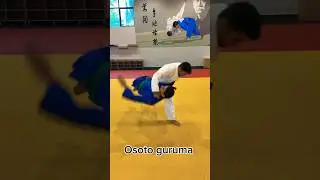 Judo technics #shorts #judo