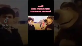 ШОК МАША ОПЯТЬ ПЕРЕЕЛА КАШИ И НАПАЛА НА ЧЕЛОВЕКА😁