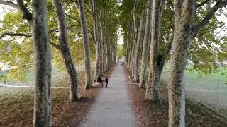 DJI Mavic Air - Lausanne