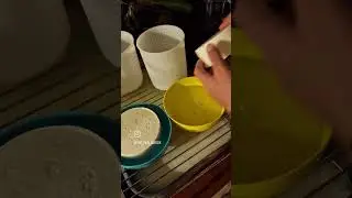 Teil 5: Nach dem Abtropfen geht's in den dunklen Keller... #hoftiergarten #ziegenmilch #ziegenkäse