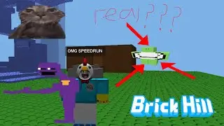 BRICK HILL SPEEDRUN INSANE!!!