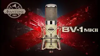BV-1 MKII Tube Driven Microphone by Avantone Pro