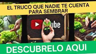Asi puedo hacer una huerta orgánica casera