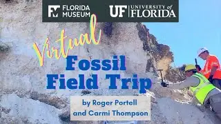 Virtual Fossil Field Trip