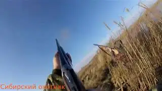 северная утка