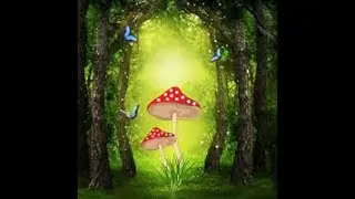 secret enchanted forest escape video walkthrough