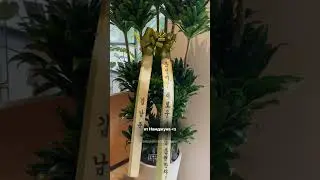 Кафе сестры Намджуна из BTS в Сеуле ##корейскийблог #корея #bts #корейскийязык