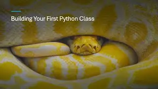 Building Your First Python Class