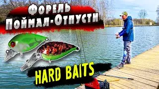 Trout Fishing with Hard Baits | Parus Sever | Denis Vikhrov