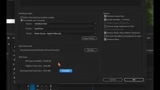 Exportar por separado los clips de tu edición⎪Premiere Pro⎪Tip⎪Truco⎪Clase