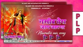 Nasiba Tera Jaag Jaega Dj Shashi Plp Project Dj Shashi Spl || Navratri Spl Plp File || Thumbnail Plp
