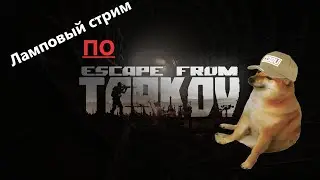 Ламповый стрим - Escape Frome Tarkov№4