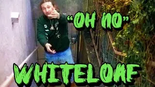 Whiteloaf "Oh No" (Official Music Video)