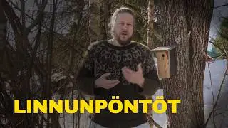 Linnunpöntön ripustusvinkit