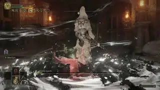 Elden Ring - Godskin Apostole on lv1