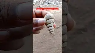 Mungkinkah disini dulunya lautan #shortsvideo #trendingshorts #fypシ゚viral