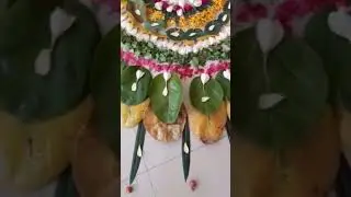 rangoli design easy | Beautiful rangoli using flower and leaves that everyone can make |big rangoli