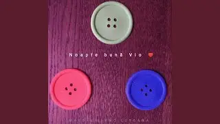 Noapte bună vio