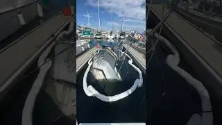 Totaled or still salvageable? #boat