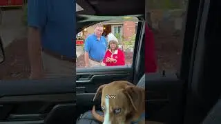 Mexican Mom Dog Advice