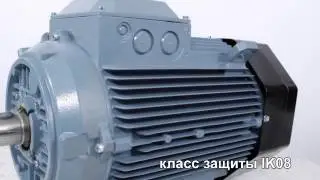 ABB M2AA 200 MLA4 исполнение 1081