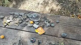 Самый тяжёлый выход в сезоне 10часов поиска в воде ! серебро)minelab x Terra pro