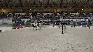 South Scotland Select final freestyle