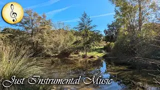 Piano & Nature 🎹🍂 Just Instrumental Music