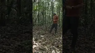 This is the Devil’s Garden of the Amazon Rainforest