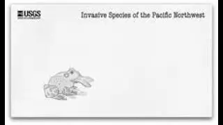 Invasive Species of the Pacific Northwest