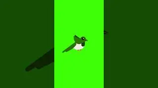 Bird Green Scene animation short video, Flying birds green screen. #bird #flying bird,
