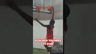 How High Do You Need To Be To Dunk