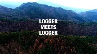 Logger Meets Loggers