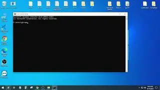 How to check npm version