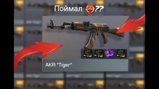 ЗАКАЗАЛ 200 Akr Tiger в СТАНДОФФ 2!!