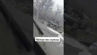 павловка 2