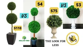 Dollar Tree Boxwood Topiary DIYs | Looks For Less |