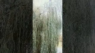 ВСЕМ ОТЛИЧНОГО ДНЯ И ПРЕКРАСНОГО НАСТРОЕНИЕ. ❤💖💐